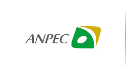 Anpec Electronics