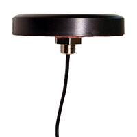 AEACBK081014-S698 Images