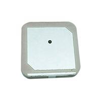 APAKN2504-S2448-T