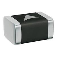 B72530T6170K062 Images